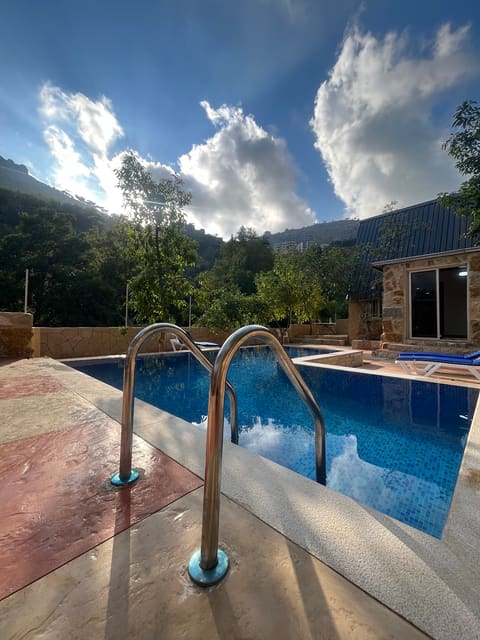 Avocado Pool — photograph 6