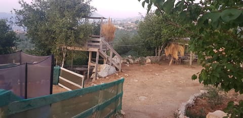 Montazah w Tiro Al Sayad — photograph 5