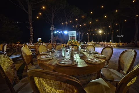 Venus Venue — photograph 2