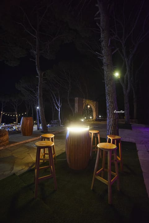 Venus Venue — photograph 6