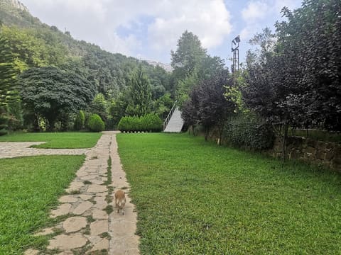 Jisr Al Samir — photograph 6