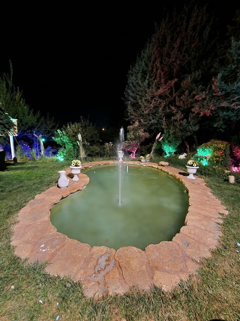 Joury — photograph 5