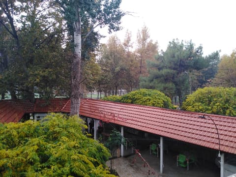 Saydah cafe — photograph 2