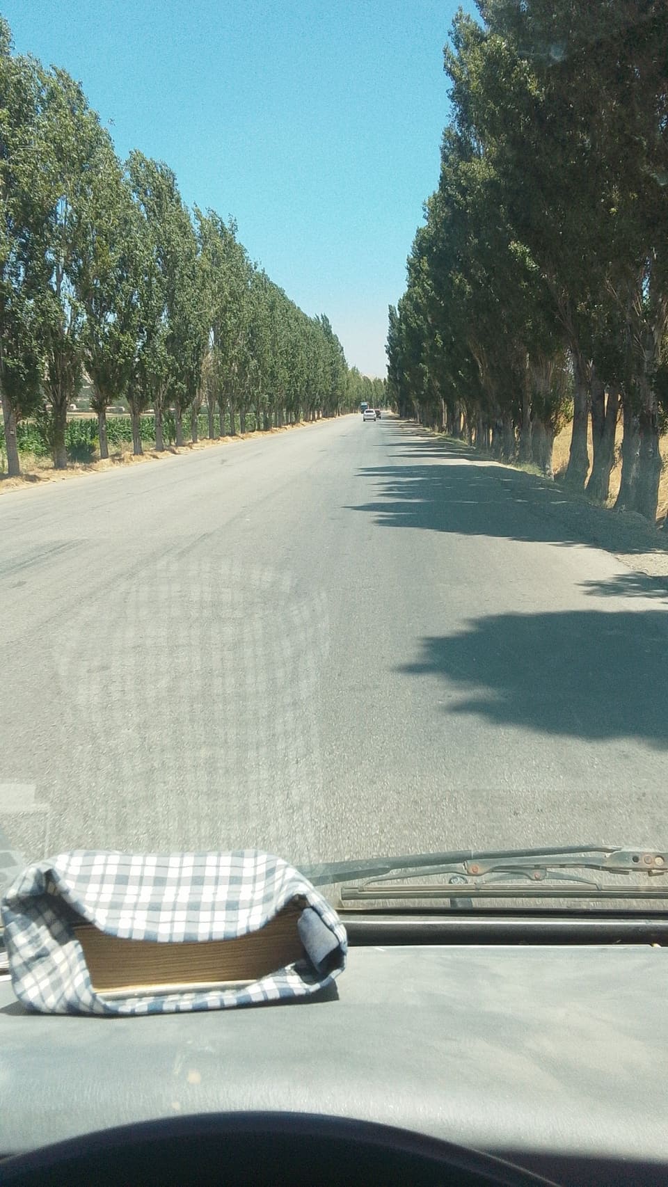 El Jamaliyye