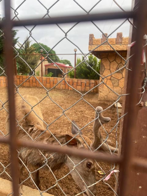 Baalbek Lebanon — photograph 6
