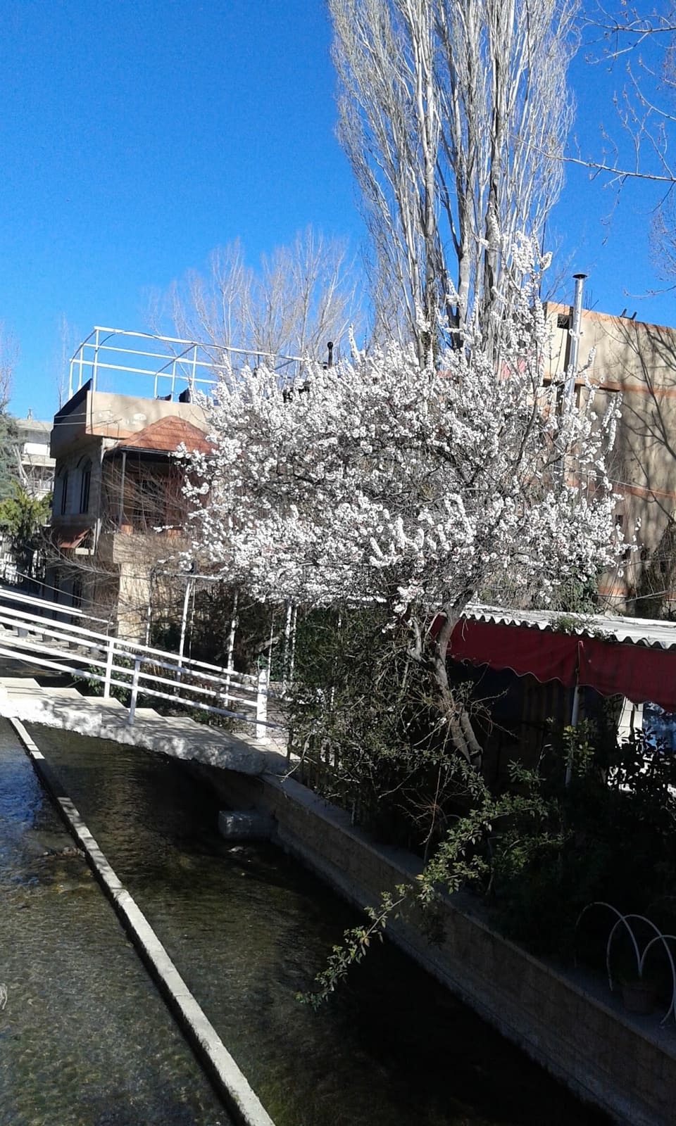 Qaet Tamouz
