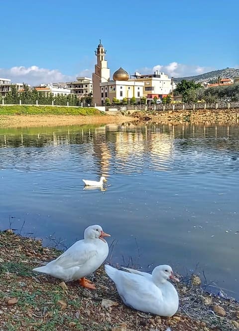 Kfar Tebnit Lake — photograph 5