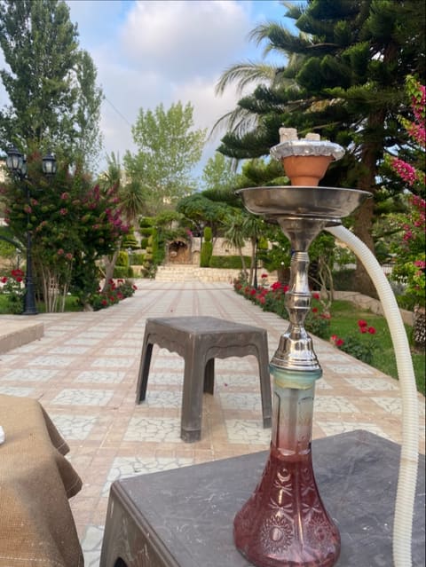 mohamad’s younes villa — photograph 3