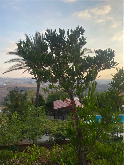 mohamad’s younes villa — photograph 6