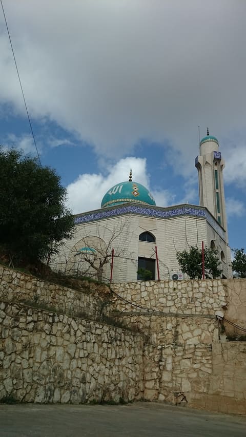 Majma Al Basheer Al Dini Toul — photograph 4