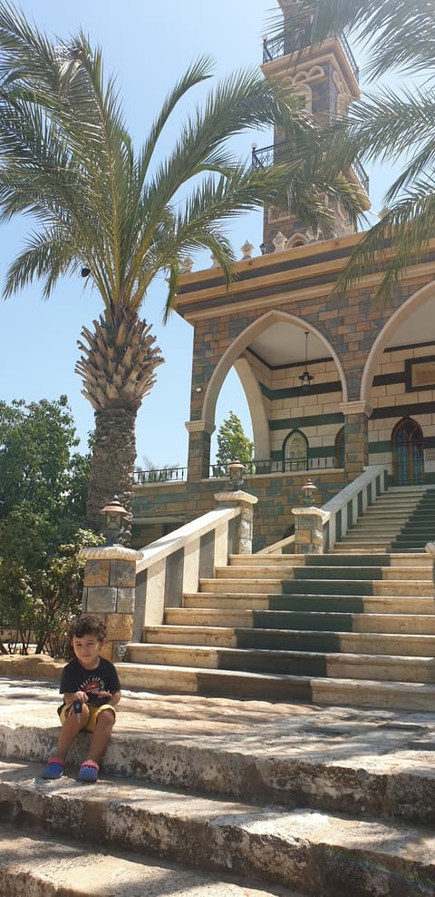 Imam Ali Mosque — photograph 4