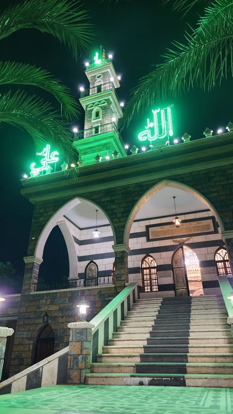 Imam Ali Mosque — photograph 5