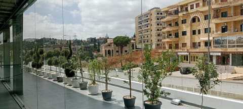 Salame Center — photograph 3