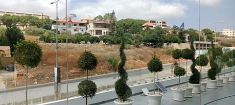 Salame Center — photograph 4