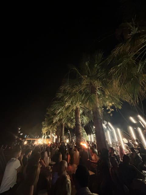 Oasis — photograph 3