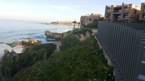Byblos Sud — photograph 5
