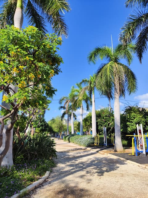 Jbeil Public Park — photograph 4