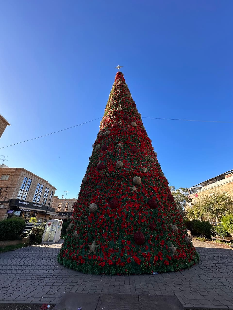 Jbeil Christmas Tree