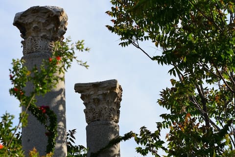Roman Columns on the Main Street — photograph 4