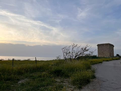 Al Fidar Tower — photograph 6