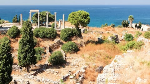 Columns from Temple of Astarte (Venus) — photograph 3