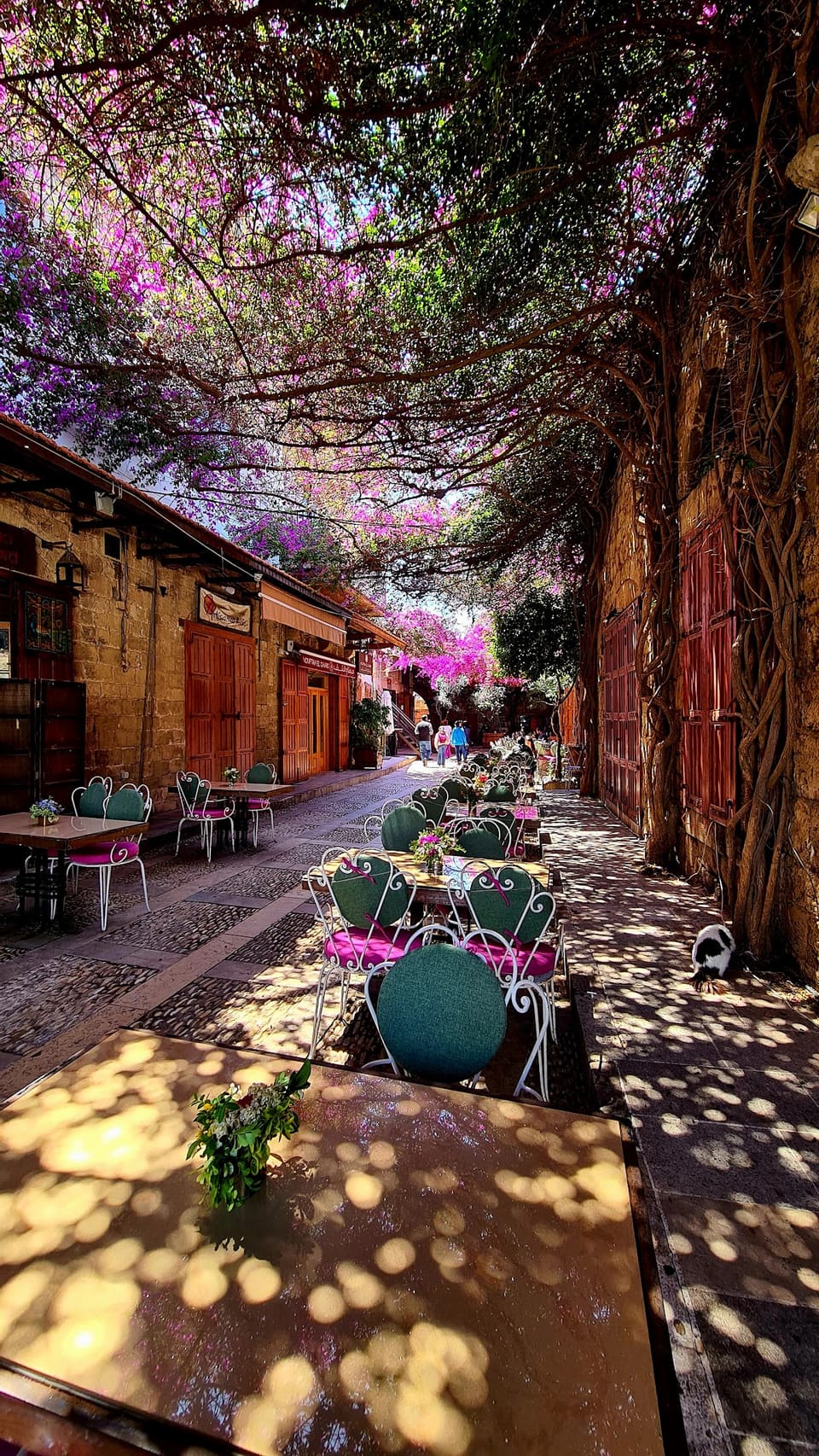 Byblos