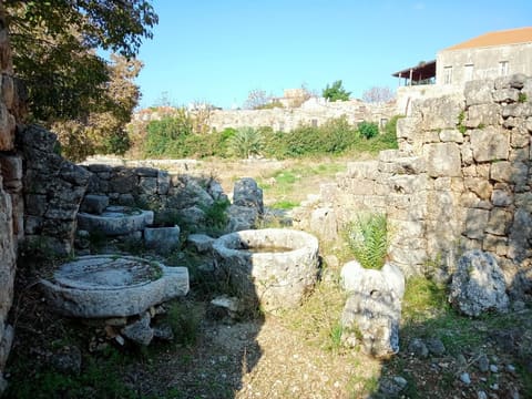 Byzantine Mill — photograph 2
