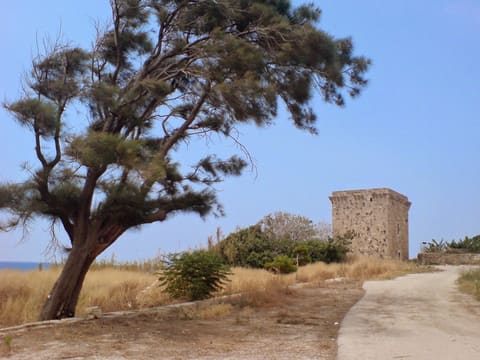 Fidar Crussader Fortress — photograph 4
