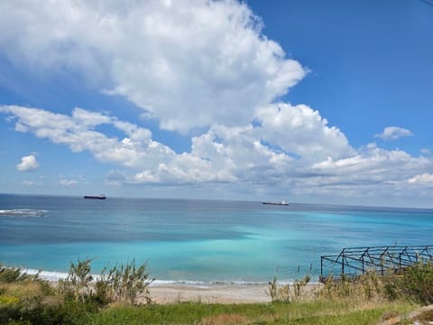 Byblos marine — photograph 2