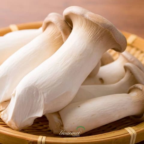 Gourmet Mushroom — photograph 6