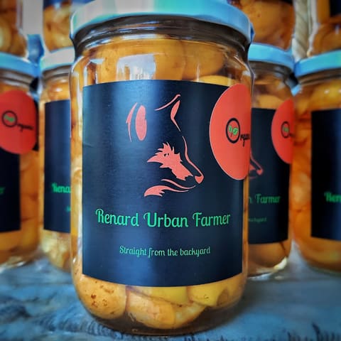Renard Urban Farmer — photograph 6