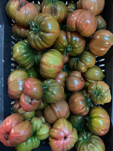 Gem Fruits — photograph 2