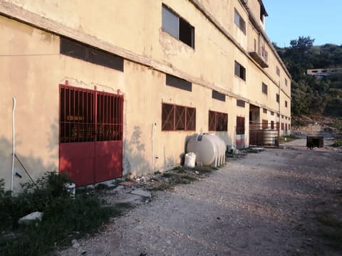 A. Kossaify Farm — photograph 4