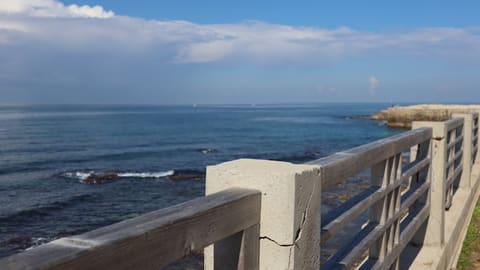 Boulevard Amchit — photograph 5