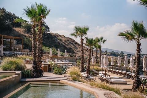 CAPO Batroun — photograph 6