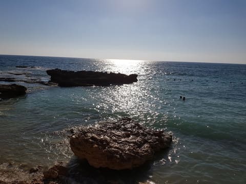Playa Dorada - Beach — photograph 6
