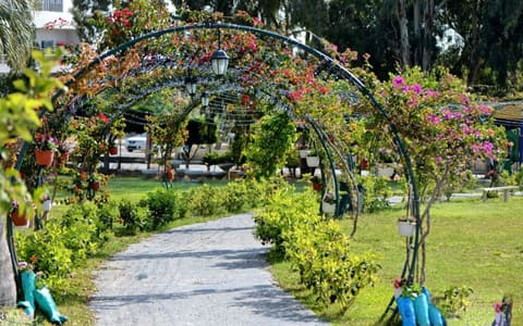 Batroun Park — photograph 4