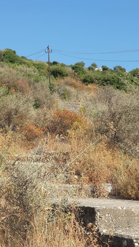 Mar Sassine Stairs — photograph 3
