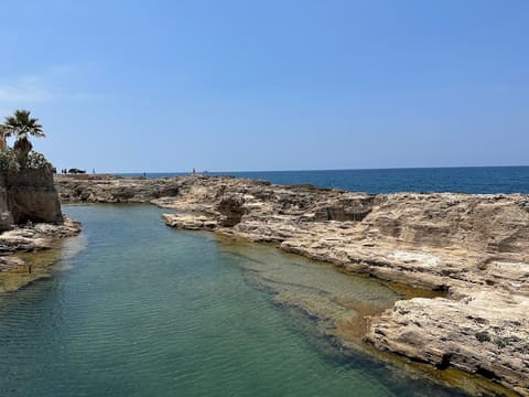 Port of Batroun — photograph 4