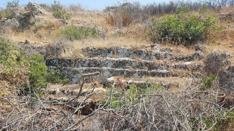 Roman Ruins — photograph 4
