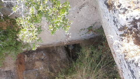 Roman Ruins — photograph 6