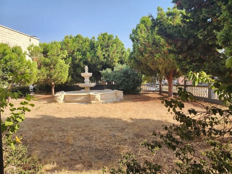 Batroun Mosque — photograph 5