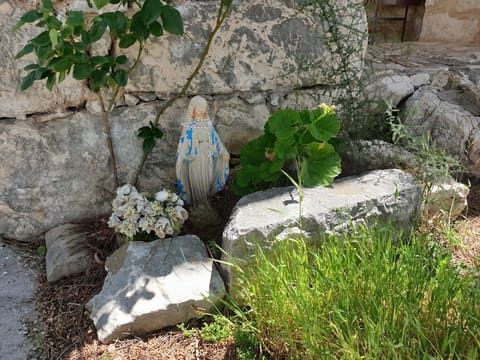 Mar Mema — photograph 6