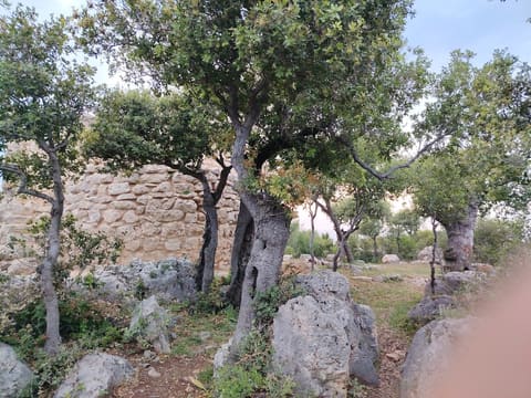 St. Georges Al Afrit Church (Batroun) — photograph 5