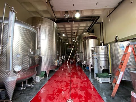 Batroun Mountains Organic Winery — photograph 4
