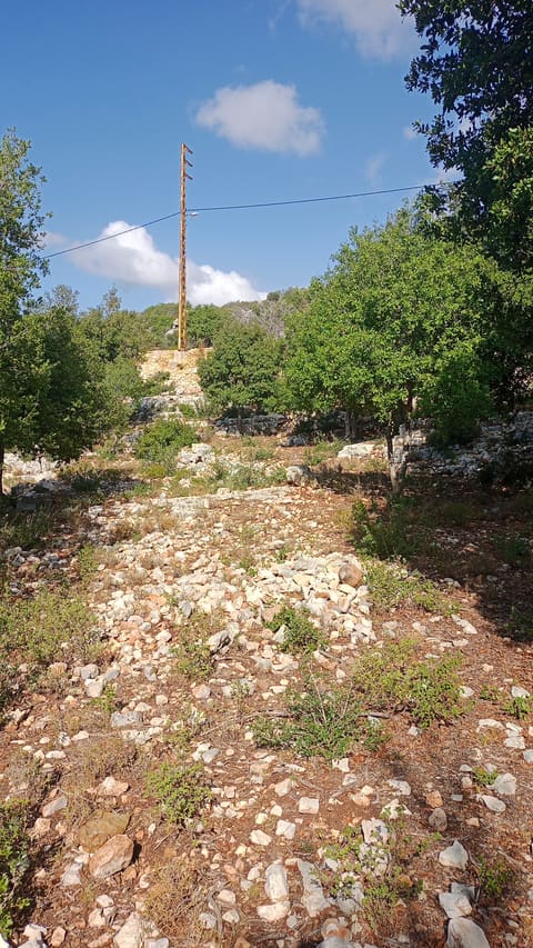 L'atelier Chene Edible Garden — photograph 2