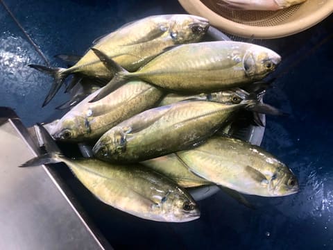 Nohra (Seafood) — photograph 2