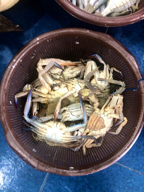Nohra (Seafood) — photograph 6