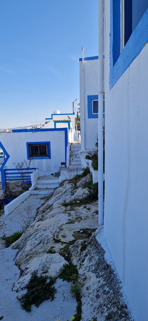 Naim Tahet El-Rih — photograph 5
