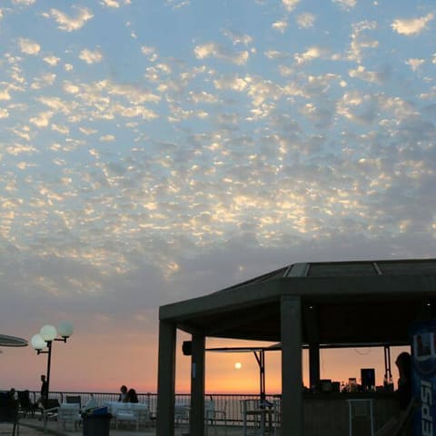 O-Bar — photograph 3